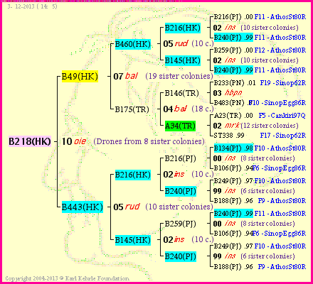 Pedigree of B218(HK) :
four generations presented