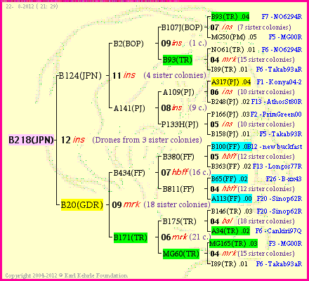 Pedigree of B218(JPN) :
four generations presented