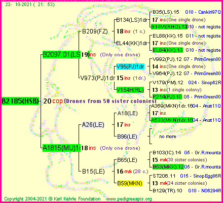 Pedigree of B2185(HSB) :
four generations presented
it's temporarily unavailable, sorry!