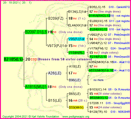 Pedigree of B2185(LS) :
four generations presented
it's temporarily unavailable, sorry!