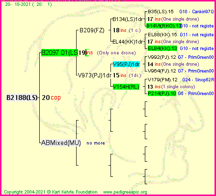 Pedigree of B2188(LS) :
four generations presented
it's temporarily unavailable, sorry!