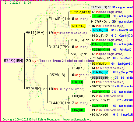 Pedigree of B219(JBH) :
four generations presented
it's temporarily unavailable, sorry!