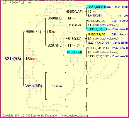 Pedigree of B21r(AB) :
four generations presented<br />it's temporarily unavailable, sorry!