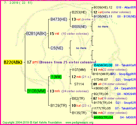 Pedigree of B22(ABK) :
four generations presented<br />it's temporarily unavailable, sorry!