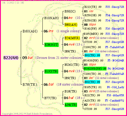 Pedigree of B22(AH) :
four generations presented