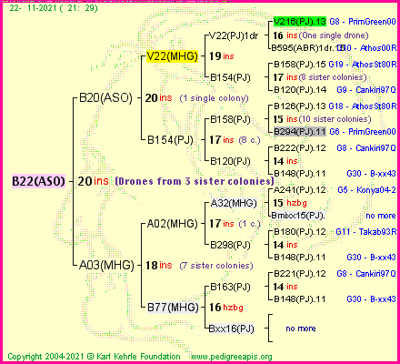 Pedigree of B22(ASO) :
four generations presented
it's temporarily unavailable, sorry!