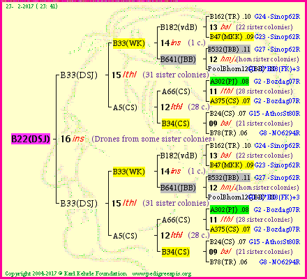 Pedigree of B22(DSJ) :
four generations presented
it's temporarily unavailable, sorry!