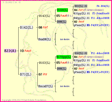 Pedigree of B22(JL) :
four generations presented