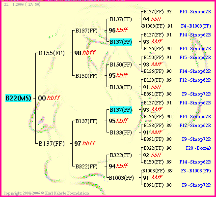 Pedigree of B22(MS) :
four generations presented
it's temporarily unavailable, sorry!