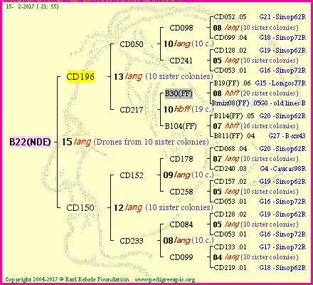 Pedigree of B22(NDE) :
four generations presented