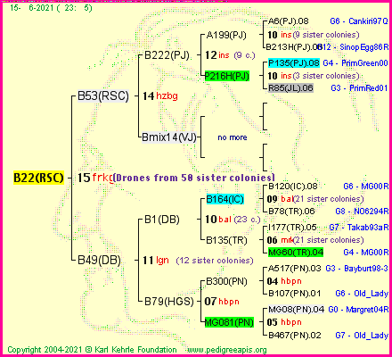 Pedigree of B22(RSC) :
four generations presented
it's temporarily unavailable, sorry!