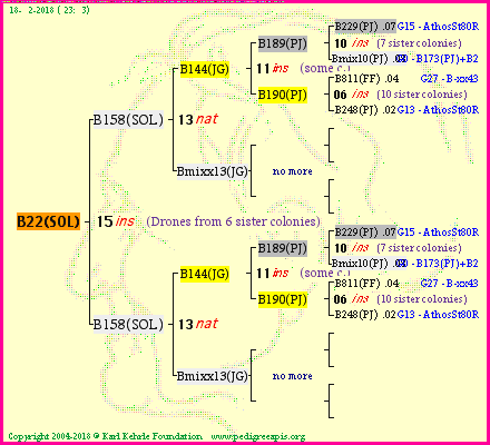 Pedigree of B22(SOL) :
four generations presented<br />it's temporarily unavailable, sorry!