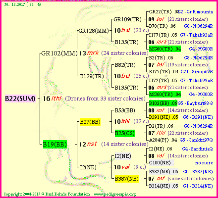 Pedigree of B22(SUM) :
four generations presented<br />it's temporarily unavailable, sorry!