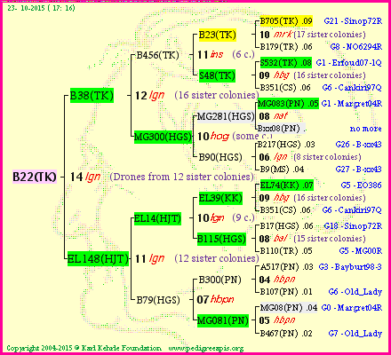 Pedigree of B22(TK) :
four generations presented<br />it's temporarily unavailable, sorry!