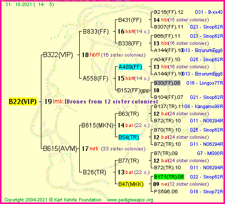 Pedigree of B22(VIP) :
four generations presented
it's temporarily unavailable, sorry!