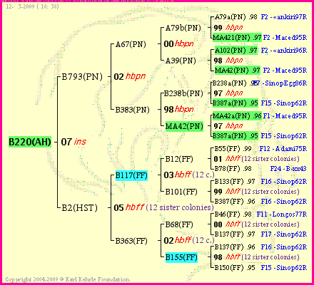 Pedigree of B220(AH) :
four generations presented