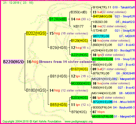 Pedigree of B220(HGS) :
four generations presented<br />it's temporarily unavailable, sorry!