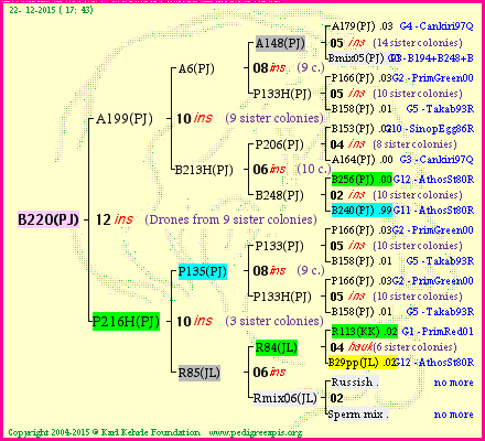 Pedigree of B220(PJ) :
four generations presented