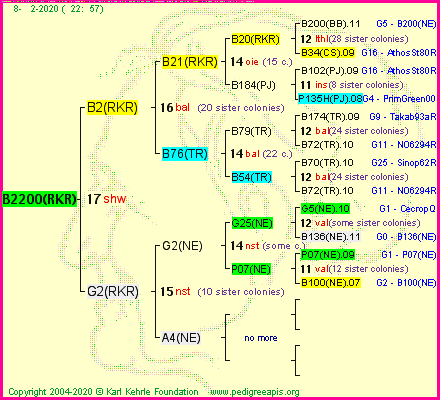 Pedigree of B2200(RKR) :
four generations presented<br />it's temporarily unavailable, sorry!