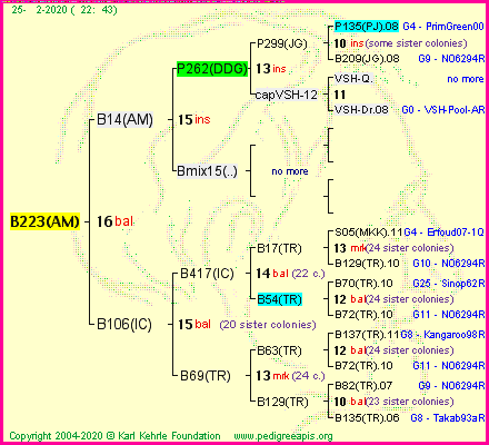 Pedigree of B223(AM) :
four generations presented
it's temporarily unavailable, sorry!