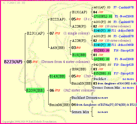 Pedigree of B223(AP) :
four generations presented