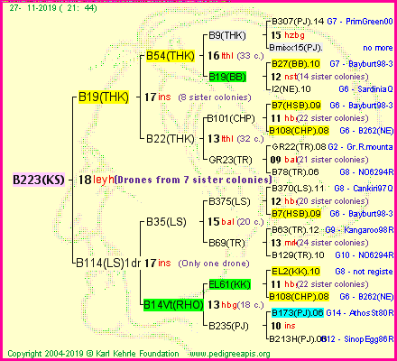 Pedigree of B223(KS) :
four generations presented<br />it's temporarily unavailable, sorry!