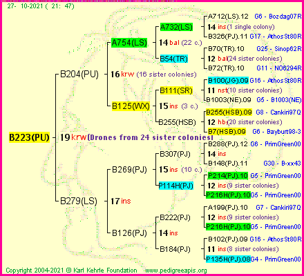 Pedigree of B223(PU) :
four generations presented
it's temporarily unavailable, sorry!