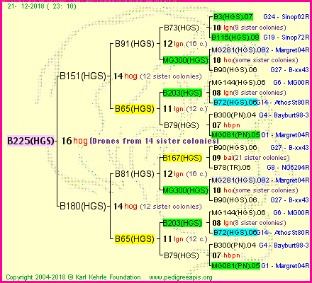 Pedigree of B225(HGS) :
four generations presented<br />it's temporarily unavailable, sorry!