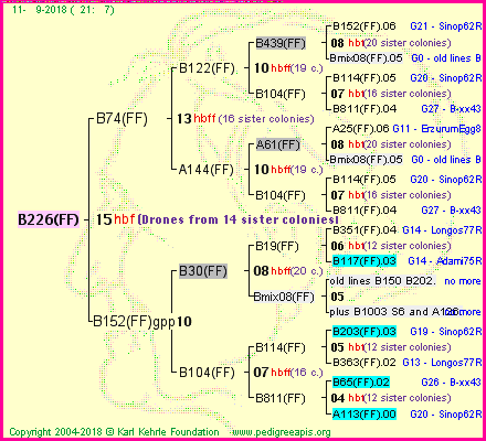 Pedigree of B226(FF) :
four generations presented