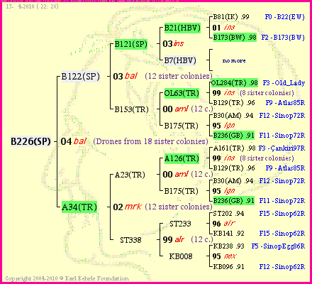 Pedigree of B226(SP) :
four generations presented