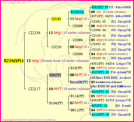 Pedigree of B226(SPL) :
four generations presented<br />it's temporarily unavailable, sorry!