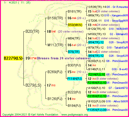 Pedigree of B2279(LS) :
four generations presented
it's temporarily unavailable, sorry!