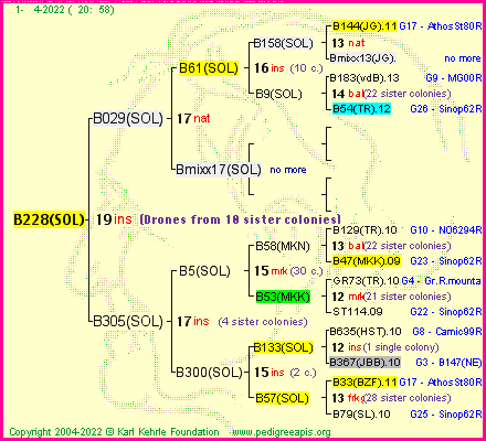 Pedigree of B228(SOL) :
four generations presented
it's temporarily unavailable, sorry!