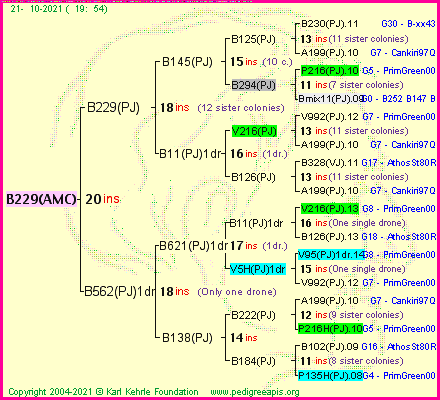 Pedigree of B229(AMC) :
four generations presented
it's temporarily unavailable, sorry!