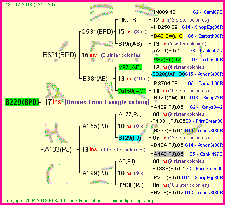 Pedigree of B229(BPD) :
four generations presented<br />it's temporarily unavailable, sorry!