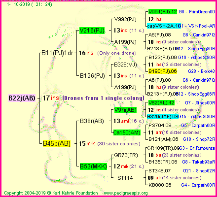 Pedigree of B22j(AB) :
four generations presented<br />it's temporarily unavailable, sorry!