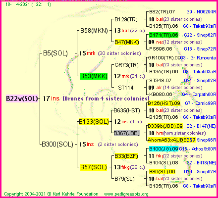 Pedigree of B22v(SOL) :
four generations presented
it's temporarily unavailable, sorry!