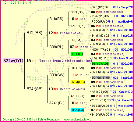 Pedigree of B22w(JYL) :
four generations presented<br />it's temporarily unavailable, sorry!