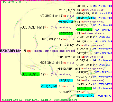 Pedigree of B23(ADE)1dr :
four generations presented
it's temporarily unavailable, sorry!