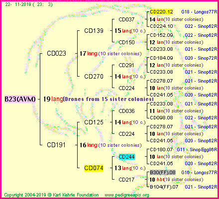 Pedigree of B23(AVM) :
four generations presented
it's temporarily unavailable, sorry!