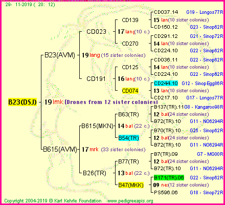 Pedigree of B23(DSJ) :
four generations presented
it's temporarily unavailable, sorry!