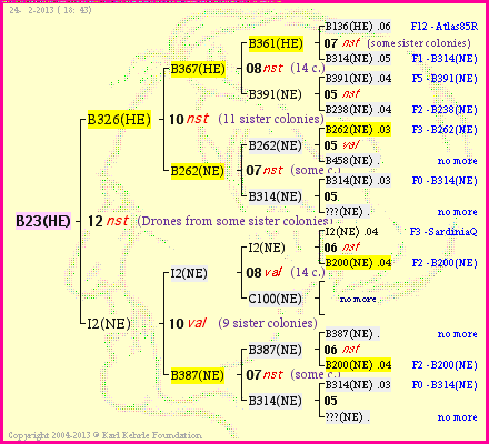 Pedigree of B23(HE) :
four generations presented