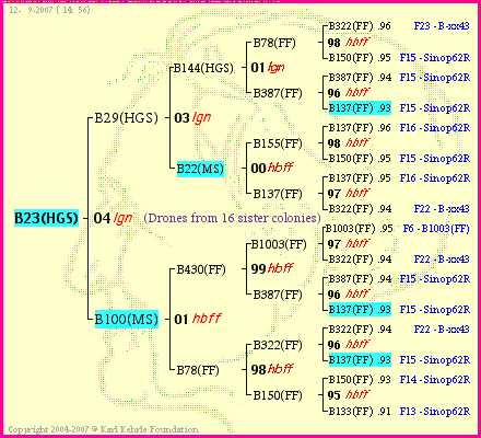 Pedigree of B23(HGS) :
four generations presented