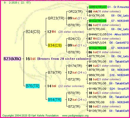 Pedigree of B23(KRK) :
four generations presented<br />it's temporarily unavailable, sorry!