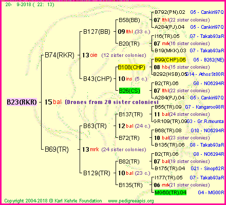 Pedigree of B23(RKR) :
four generations presented<br />it's temporarily unavailable, sorry!