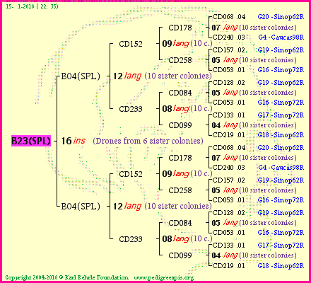 Pedigree of B23(SPL) :
four generations presented<br />it's temporarily unavailable, sorry!