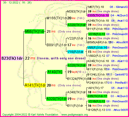 Pedigree of B23(TK)1dr :
four generations presented
it's temporarily unavailable, sorry!