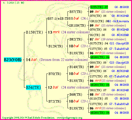 Pedigree of B23(YOB) :
four generations presented