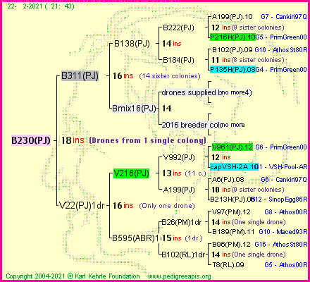 Pedigree of B230(PJ) :
four generations presented
it's temporarily unavailable, sorry!