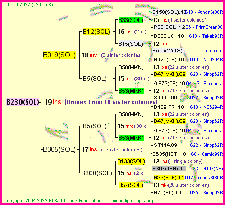 Pedigree of B230(SOL) :
four generations presented
it's temporarily unavailable, sorry!